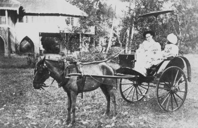 Horse and carriage, 1880s
