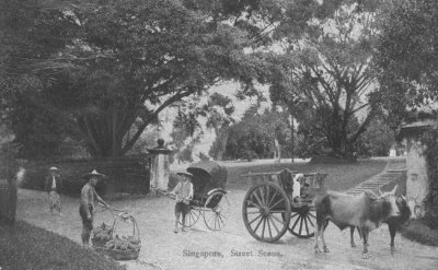 Street scene with rickshaw, bullock cart and hawker, 1900s